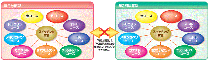 野村エマージング債券投信 ブラジルレアルコース 毎月分配型 ファンド情報 T Dアセットマネジメント株式会社